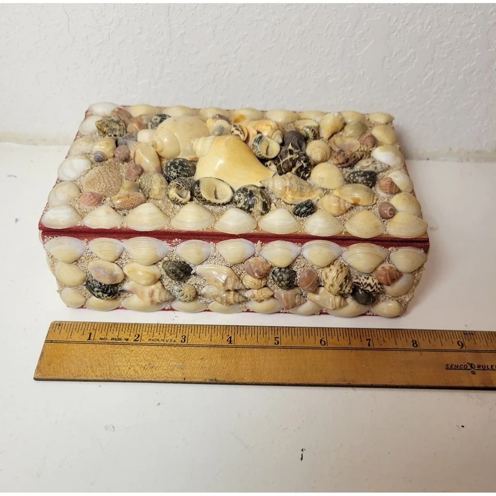 Vintage‎ Sea Shell  Trinket Jewelry Red  Felt Lining